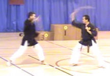 Oyo Jo Nunchaku